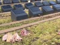 NAKON TERORISTIČKOG NAPADA: Na muslimansko groblje u Sydneyju bačene svinjske glave