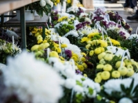 PORODICA PRODAJE CVIJEĆE, ŽIVE KAO CAREVI: Priznali zaradu, novac samo kaplje