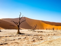 OGROMAN DIO ZEMLJE MOGAO BI USAHNUTI: Stručnjaci predviđaju veliku katastrofu (VIDEO)
