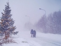 DRAMA NA SJEVERU EVROPE: Zbog oluje desetine hiljada domaćinstava bez struje, stotine nesreća
