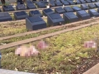 TALAS ISLAMOFOBIJE NAKON NAPADA NA BONDI PLAŽI: Muslimansko groblje u Sydneyu meta vandalizma