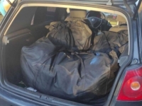 NAKON AKCIJE 'USKOK': Četvorka završila iza rešetaka zbog 100 kg marihuane