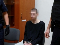 OBJAVLJENA PRESUDA: Ubici iz Prečkog 50 godina zatvora