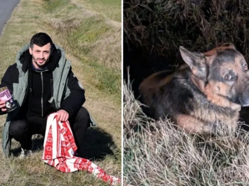 ČOVJEK KOJI VRAĆA NADU U LJUDSKOST: Cijeli noć na cesti čuvao povrijeđenog psa... (FOTO)