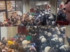 BURNO U NOVOM SADU: Policija primijenila silu na fakultetu, studenti izbačeni (VIDEO)