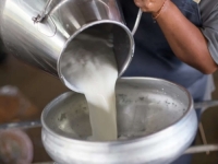 NA RUBU KATASTROFE: Mljekari u RS-u strahuju od najgoreg scenarija, upomoć zovu Savu Minića...