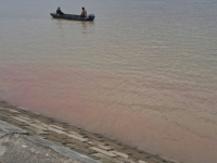 ŠTA SE DEŠAVA U BEOGRADU: Dunav promijenio boju, čeka se reakcija nadležnih