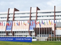 IZVJEŠTAJ IZ STRASBOURGA KOJI TRESE BIH: Šta su vlasti pokušale sakriti o policijskoj brutalnosti?