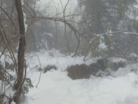 CIVILNA ZAŠTITA U PRIPRAVNOSTI: Klizišta pod 24-satnim nadzorom, zabilježeni znaci erozije na više lokaliteta u Sarajevu