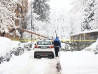 POZNAT IDENTITET: Ovo je majka dvoje djece koja je smrtno stradala na Grbavici nakon što je drvo palo na nju
