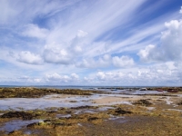 OZBILJNA UPOZORENJA STRUČNJAKA: Globalno zagrijavanje i otpadne vode uništavaju okeane