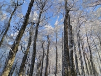 BiH POD NARANDŽASTIM METEOALARMOM: Širom zemlje se očekuju vrlo niske temperature zraka