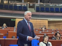 BRANISLAV BORENOVIĆ IZ STRASBOURGA: 'Pripadamo evropskoj civilizaciji, vladajuće elite koče evropski put BiH'