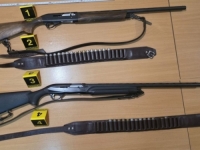 HOROR U LOVU: Gađao psa lutalicu, pogodio brata