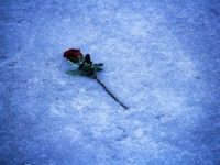 JEDNA GENERACIJA ZAUVIJEK ODLAZI: Umrla je 'Moja Milena', heroina popularne pjesme iz bivše Jugoslavije