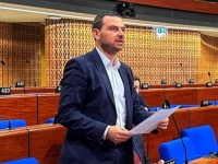 MAGAZINOVIĆ U STRASBOURGU KRITIKOVAO DOMAĆU VLAST: 'U korijenu svih problema i kriza u BiH nalazi se kriminal sa političkom pozadinom!'