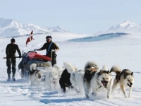 LEDENI GRANIČARI: Patrola Sirius na psećim zapregama čuva granice Grenlanda