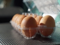 NOVA STUDIJA KOJA JE ŠOKIRALA LJEKARE: Istina o jajima koju niste znali