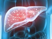 OPASNOST PRIJETI: Jedna stvar mlade izlaže velikom riziku od bolesti jetre...