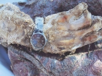 EVO ŠTA SE DANAS SLAVI U BANJOJ LUCI: Slike iz masovnih grobnica sve govore...