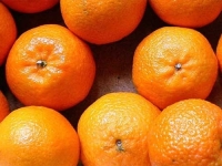 SAD JE NJIHOVO VRIJEME: Evo šta će se dogoditi vašem organizmu ukoliko svakoga dana pojedete dvije klementine...