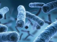 ALARMANTNO: U vrtiću se pojavila opasna bolest, stručnjaci otkrivaju kako se liječi...