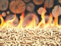 CIJENE PELETA DIVLJAJU, A GDJE JE FABRIKA: Iz Ministarstva otkrili zašto projekt u Sarajevu još uvijek stoji