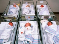 BIJELA KUGA I DALJE HARA: Prije rata u ovoj zemlji blizu BiH rađalo se čak 10 hiljada djece više nego sada