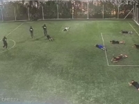 'LEZI DOLE! SVI NA POD!': Procurili stravični snimci masakra tokom fudbalskog meča