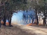 'CRNO LJETO' SE PONAVLJA U AUSTRALIJI: Zatvorene škole i vrtići