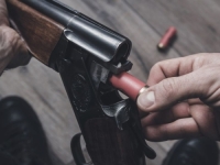 TEŽAK INCIDENT: Pokušao da ubije psa lutalicu, pa pogodio brata