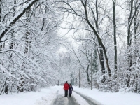 REGIJA OKOVANA SNIJEGOM I LEDOM: Pojedini dijelovi Srbije odsječeni, u Hrvatskoj brojne zabrane na putevima