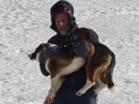 EMIN JE HEROJ DANA: Sarajlija spasio zarobljenog psa na bh. planini