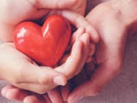 OD SINDROMA 'SLOMLJENOG SRCA': Češću smrtnost imaju...