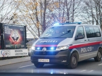 DETALJI UŽASA U AUSTRIJI: Majka ubila 12-godišnjeg sina, povrijeđena je...