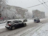 SAOBRAĆAJNI KOLAPS ZBOG SNIJEGA ŠIROM BiH: Stablo prekinulo put Kladanj-Živinice, kamioni isključeni na Romaniji i Komaru