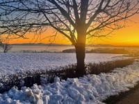 HAOS U SUSJEDSTVU: Noć tek počela, a već se temperatura spustila 21 stepen ispod nule