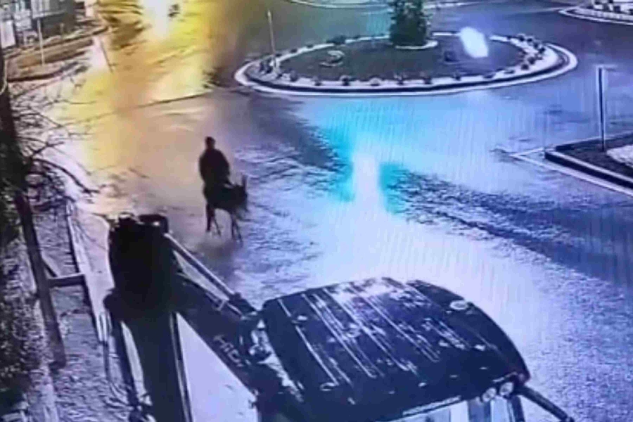 URNEBESAN SNIMAK NADZORNE KAMERE: Provalio viljuškarom, opljačkao zlataru i pobjegao na magarcu (VIDEO)