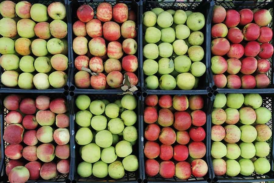 KO TO MOŽE PLATITI: Cijene voća u susjedstvu drastično poskupjele u odnosu na...