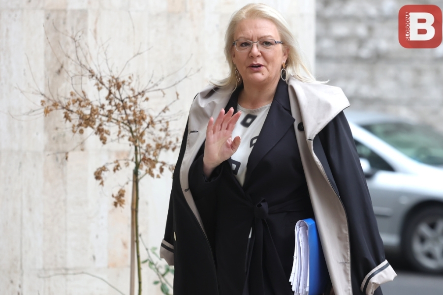 OBUSTAVA POSTUPKA: Bradara povukla zahtjev za ocjenu ustavnosti Zakona o Južnoj interkonekciji