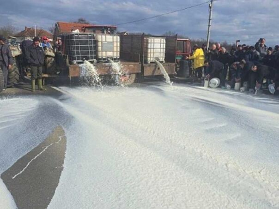 DOŠLA IM VODA DO GRLA: Mljekari prosuli 5.000 litara mlijeka (VIDEO)