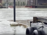 SUSJEDI IM PUSTILI VODU IZ HIDROELEKTRANE: Sve poplavilo