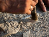 REVOLUCIONALNO OTKRIĆE NAUČNIKA: Da li su ljudi iz kamenog doba imali vlastiti sistem zapisa?