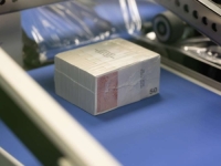 UIO BiH U JANUARU PRIKUPILA 855 MILIONA KM: Evo koliko ide na finansiranje državnih institucija