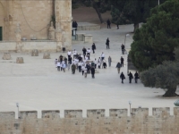 NAPETOST U JERUSALEMU: Deseci izraelskih doseljenika upali u Al-Aksu petog dana ramazana