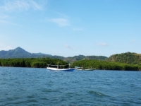 JEDINSTVEN PRIMJER U SVIJETU: Upoznajte 'Ostrvo žena'...