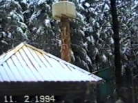 GODIŠNJICA RATNE DŽAMIJE NA ČEMERSKOJ PLANINI: Jedinstvena munara na živom stablu smrče