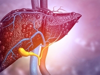SUSJEDI U PROBLEMIMA: Gotovo trećina stanovništva ima ovu tešku kroničnu bolest...