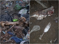 OVAKO DALJE NE MOŽE: Kakanjci zabrinuti zbog odlaganja sumnjivog mulja iz Rudnika Rupica (FOTO)