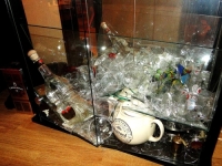 CICA MACA: Radosno sjećanje na lumpovanje kućnog ljubimca